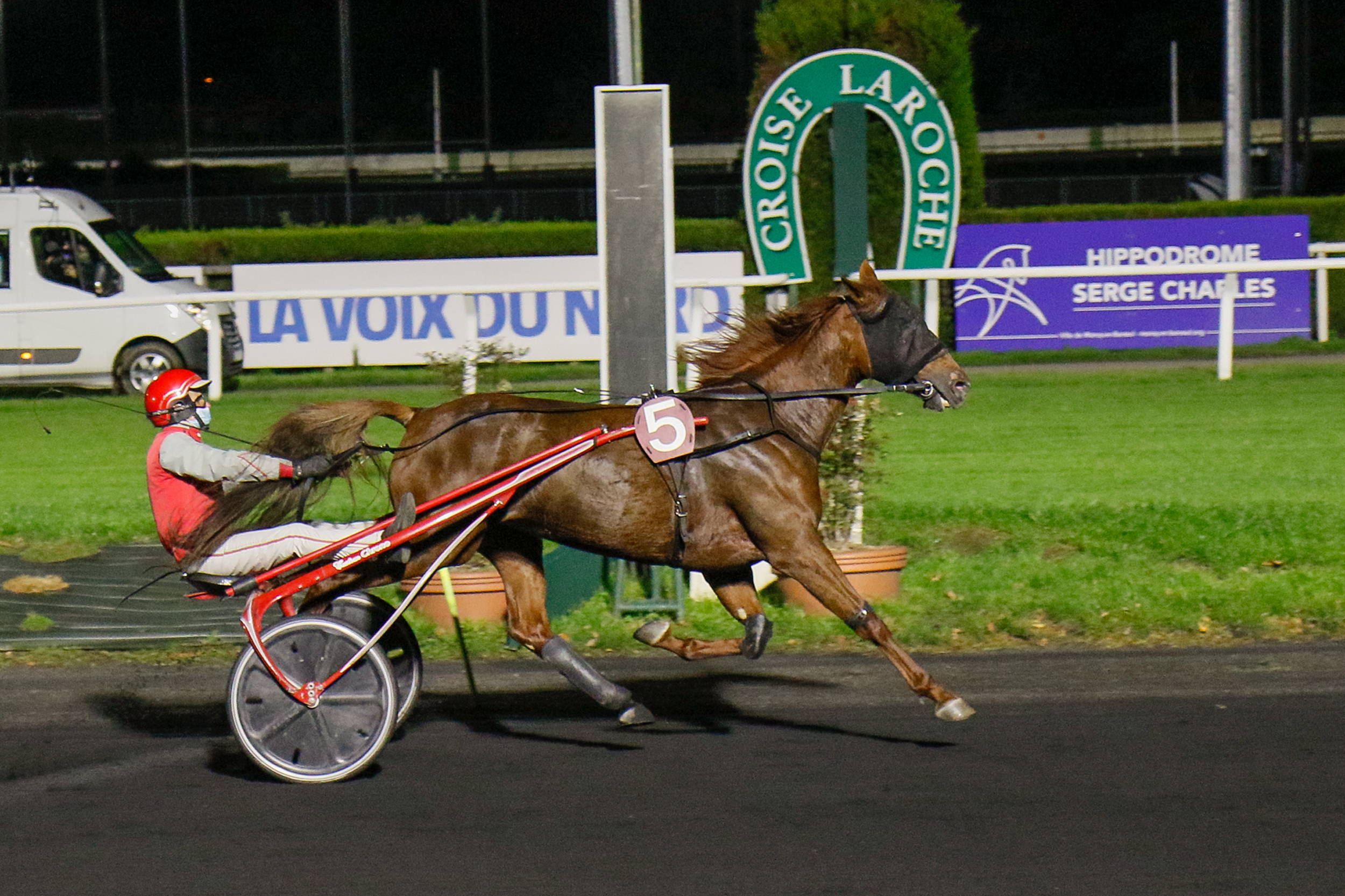 Photo Flore de Joudes